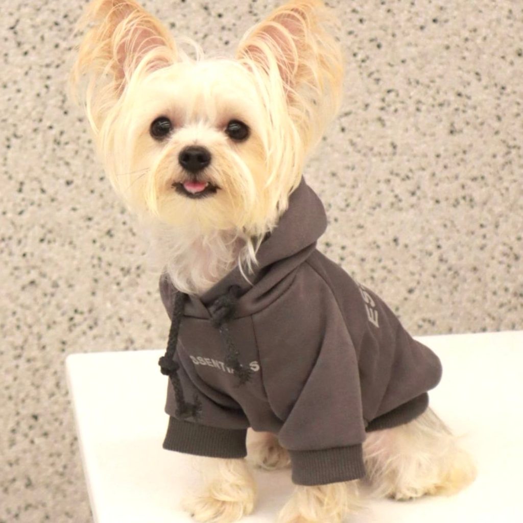 フード付パーカー　ESSENTIALS