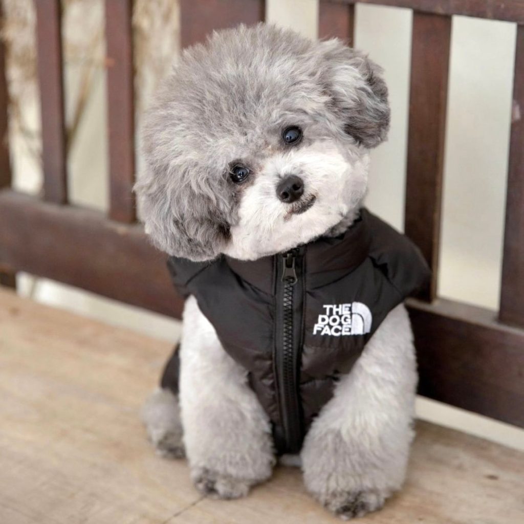 THE DOG FACE 軽量ベスト