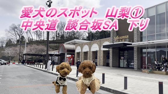 談合坂サービスエリア